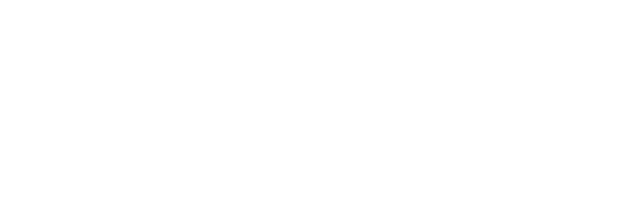 WebBitFlow Logo